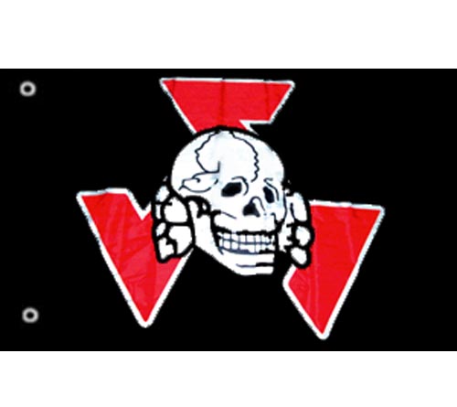AWB Totenkopf Skull Flag - Click Image to Close