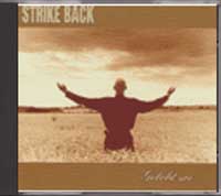 Strikeback - Gelobt sei, was stark macht